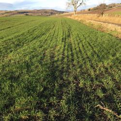Applying drinking water treatment residuals to land: opportunities and implications.