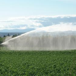 Field being irrigated with mountains in the background - Photo credit: JHI