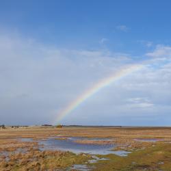 Rainbow with flooding - Photo Credit: Fiona Henderson