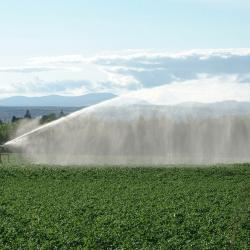 Irrigation - Photo credit: The James Hutton Institute 