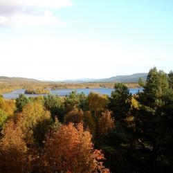 Autumn forest with loch in background - Photo credit: Carol Taylor
