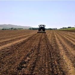 Ploughed farm field