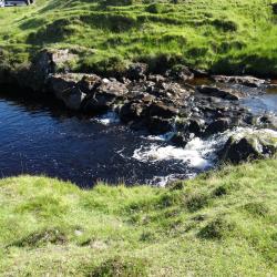 Stream with strong colour