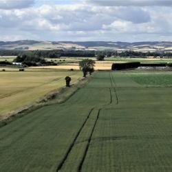 Farm fields