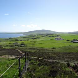 Orkney farm fields