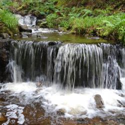 Waterfall in small stream