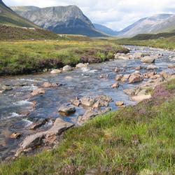 River in highlands