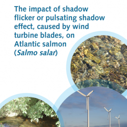 Image: Wind turbine next to water; Cover photographs courtesy of: Jennifer Dodd (Edinburgh Napier University) and Marine Scotland  Science.