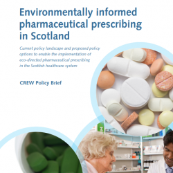 Front cover image showing medicine - Different Medicines, Patient Education, and Green Pharmaceuticals  (www.canva.com)