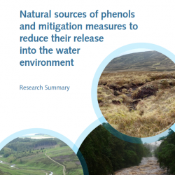 Natural sources of phenols and mitigation measures to reduce their release into the water environment; Photo credits: David Richards (left), Rachel Helliwell (centre), Nikki Baggaley (top)