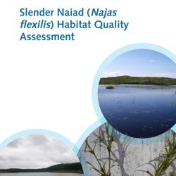 Slender Naiad Habitat Assessment. Cover photographs courtesy of: Iain Gunn, UKCEH