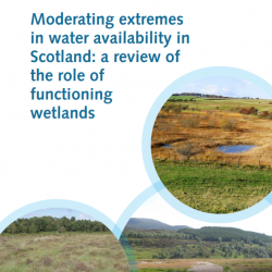 Cover photographs courtesy of: Top-right image: Basin fen at Whitlaw Mosses, Scottish Borders (Andrew  McBride, Land and Habitats Consultancy); Bottom-left image: Raised bog at Threepwood Moss in the  Scottish Borders (Andrew McBride, Land and Habitats Consultancy); Bottom-right image: A backwater  swamp in the floodplain of the upper River Dee in Aberdeenshire (Stephen Addy, The James Hutton  Institute).