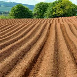 Cover photograph by David Riley © The James Hutton Institute