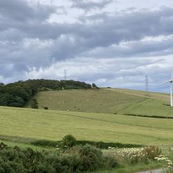 Forest_landscape_windturbine