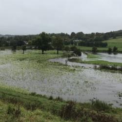 Flooded river onto field - Photo Credit: Andrew Tabas