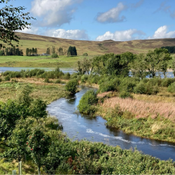 River with trees planted either side. Photo credit: Mark Wilkinson