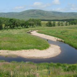 raph courtesy of: Stephen Addy (the Rottal Burn, Angus, Scotland in July 2013 after remeandering was completed in August 2012)