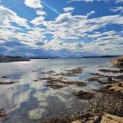 West coast of Scotland shoreline - Photo Credit: Rebekah Burman