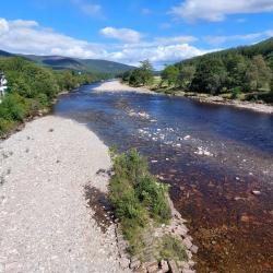 The River Dee at low flow. Trees line the edge of the river, with white houses on the near left of the image. Photo credit: Rachel Helliwell.