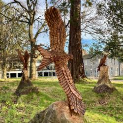 Carved wooden eagle sculptures in wooded area in front of a building. Photo credit: Nikki Dodd