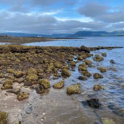 Greenock coastline with sand in the foreground, rocks in the midground, and land across the water in the background. Photo credit: Anishka Cameron