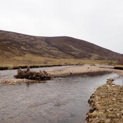Large Wood Structure in the Clunie Water. Photo credit Angus Tree, NatureScot