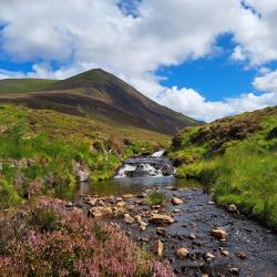 Mountain (Ben Wyvis) in the background and stream flowing through the landscape. Green grass borders the stream. Photo credit: Rebekah Burman