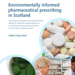 Front cover image showing medicine - Different Medicines, Patient Education, and Green Pharmaceuticals  (www.canva.com)