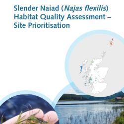 Slender Naiad (Najas Flexilis) Habitat - Site Prioritisation