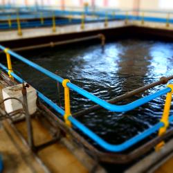 Water Resource Balancing; Cover photograph courtesy of: Matteo Tamburini, Richard Allan, The James Hutton Institute