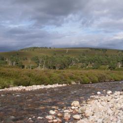 The potential risks to water quality from diffuse pollution driven by future land use and climate change