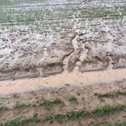 Soil Structure and Field Drainage ; Cover photograph courtesy of: Rebecca Hall, University of Aberdeen