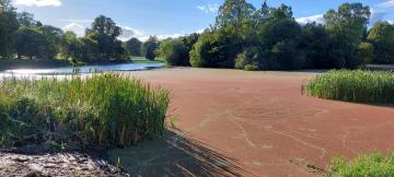 Water Quality and Health